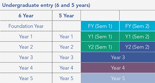 Undergraduate entry graphic