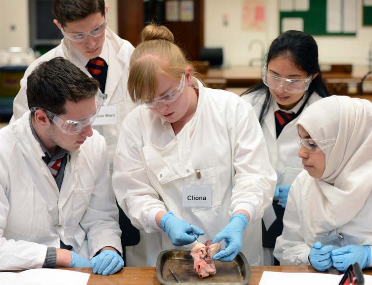 See it Do it RCSI See it Do it RCSI