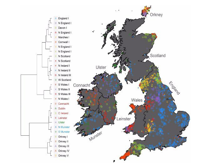 Irish DNA Atlas project