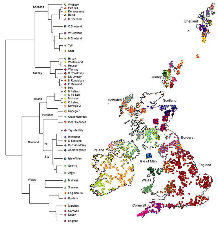 Scottish DNA map