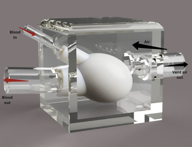 Silicone heart chamber