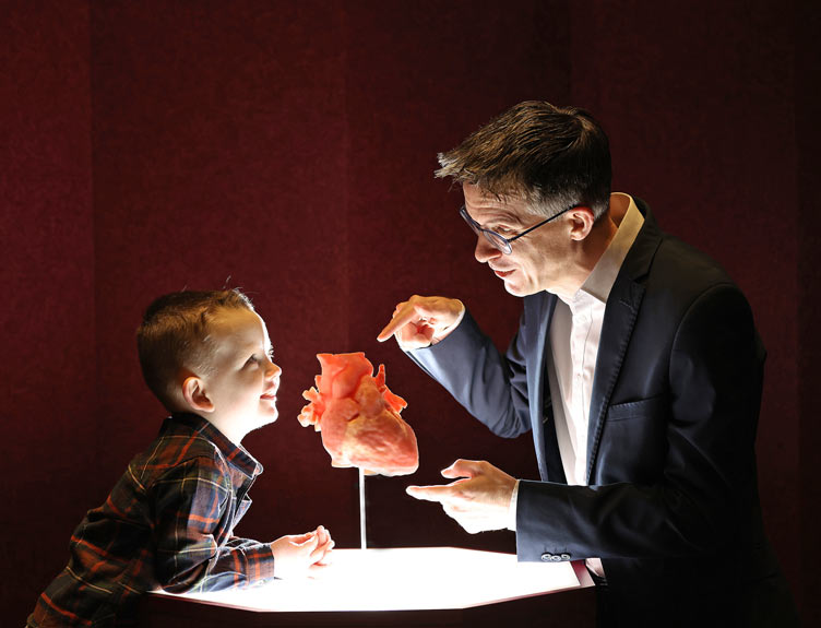 Medical consultant shows child a model of a heart