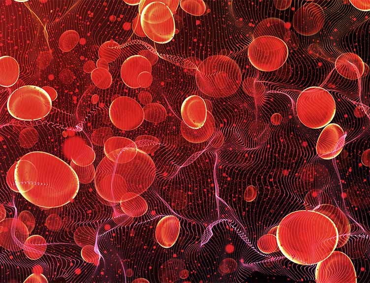 Blood cells