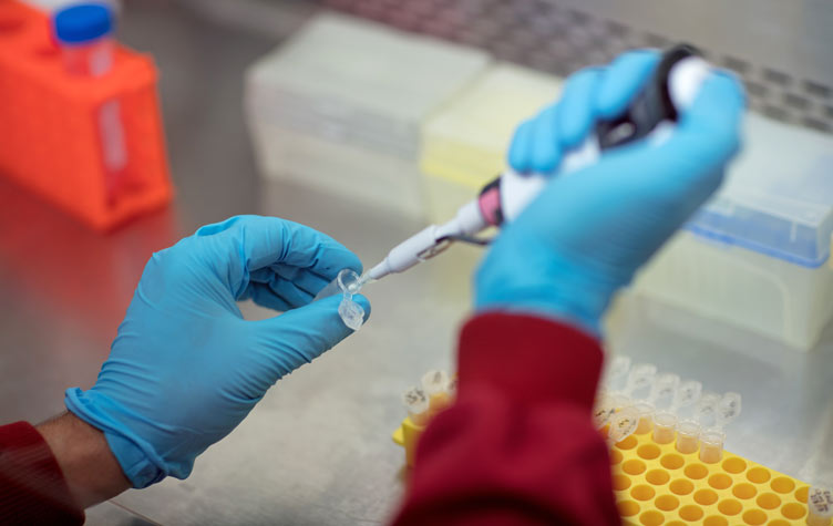 Close-up of researcher's hands and tissue engineering research