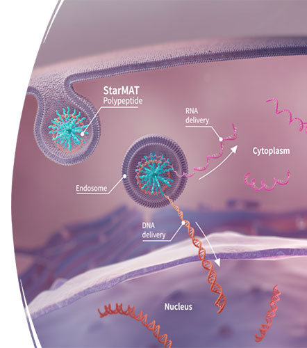 StarMAT graphic