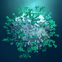 Enzyme cancel cell