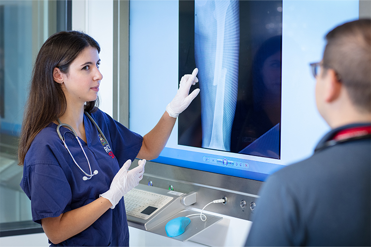 Student examining x-ray