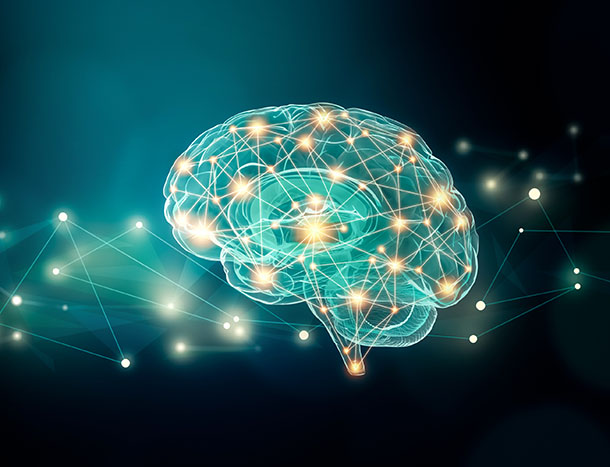 A graphic of the human brain.