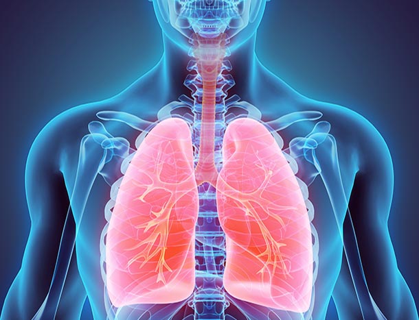 Respiratory Medicine