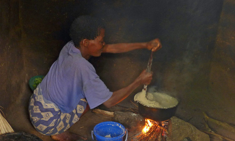  Smokeless Village Project in Malawi