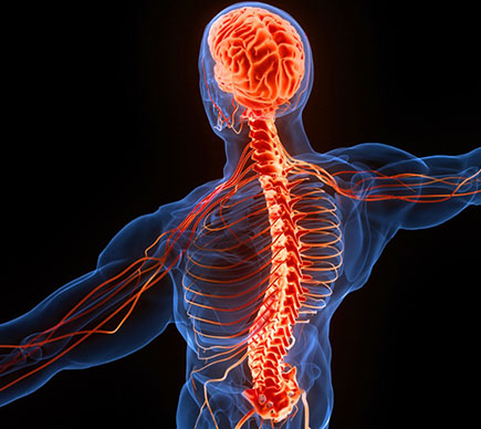Understanding Pain