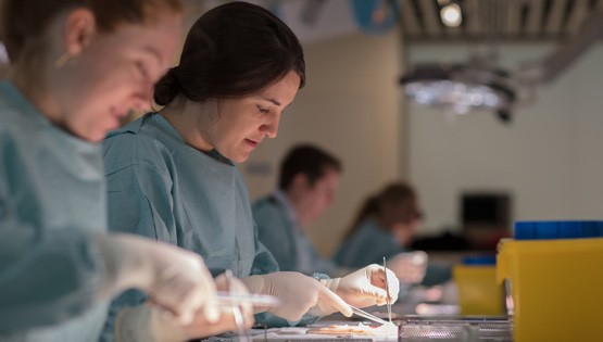 Surgical exams
