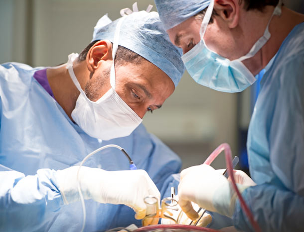 Two surgeons operating
